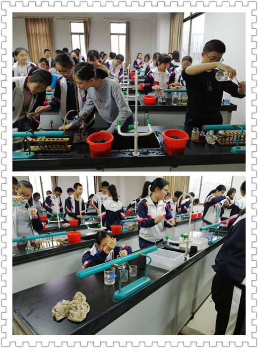 E:\雜項(xiàng)\稿費(fèi)\2019\聚仁堂稿件4月\南昌現(xiàn)代外國(guó)語(yǔ)學(xué)校已修改的文章(1)\南昌現(xiàn)代外國(guó)語(yǔ)學(xué)校已修改的文章\理化實(shí)驗(yàn)照片4.30\微信圖片_20190430091647_副本.jpg